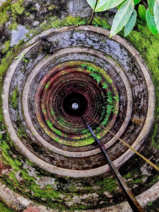 Gogonuts Hostel Varkala Eksteriør bilde