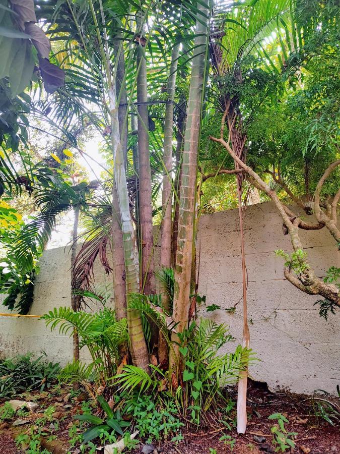 Gogonuts Hostel Varkala Eksteriør bilde
